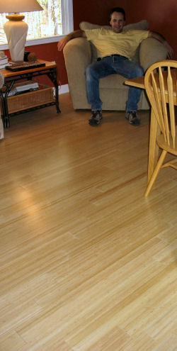 Room with bamboo flooring