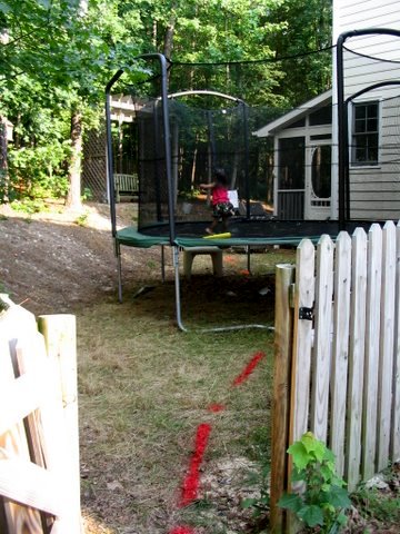 Back of the house, view from the parking pad, before.