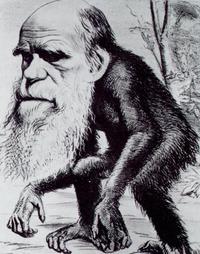 Charles Darwin as an ape, 1871