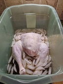 Place turkey in container.